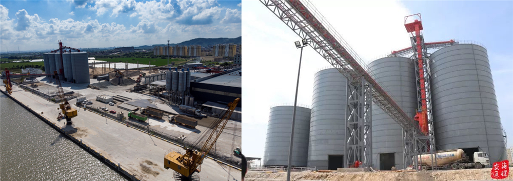 組織機(jī)構(gòu)(圖4)